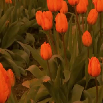 041 In numerology, Life Path 33 is the Master Teacher, embodying a profound spiritual insight