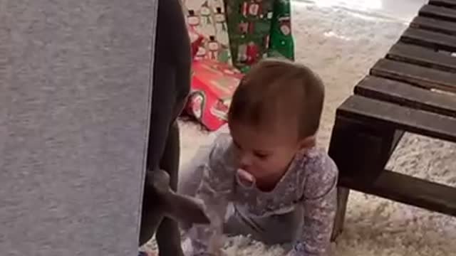 Baby and dog have the cutest fight over a granola bar