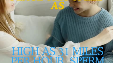 sperm are propelled at 31 miles per hour🧧🩱 | Sperm cells are expelled