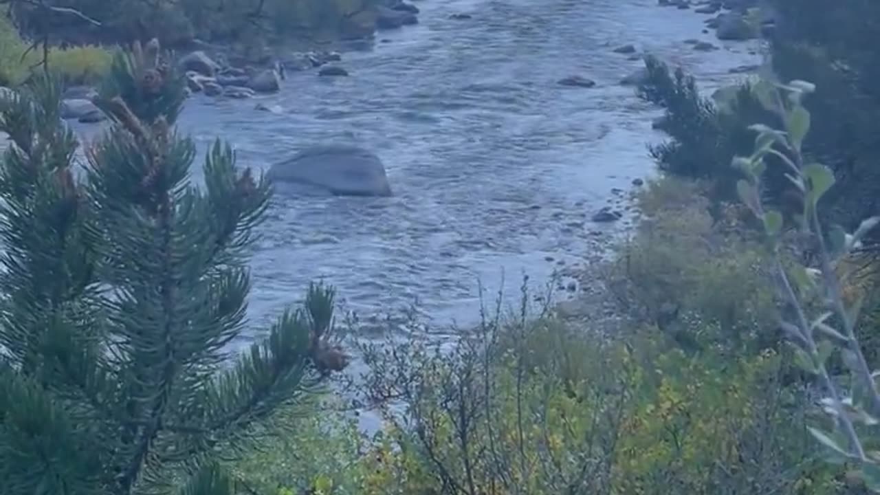 The beauty of fall in the US (CO).