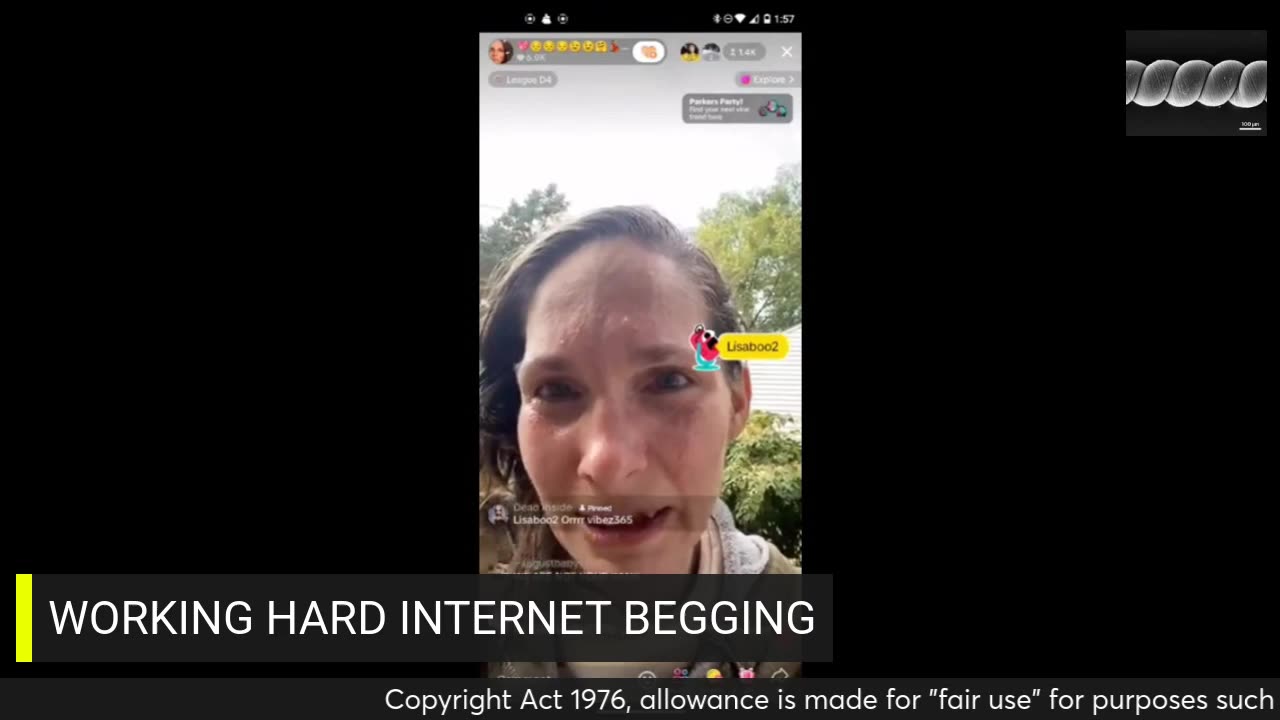 LISA RICHARDS MAD INTERNET PANHANDLER 10/13/24 1:30 PM