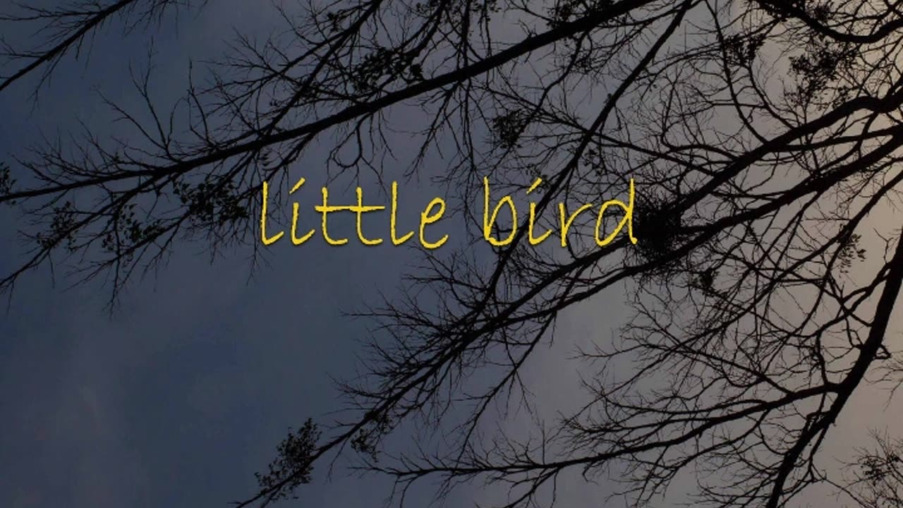 N.o.t Vince - Little Bird (Official Audio)