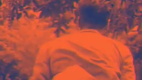 song video