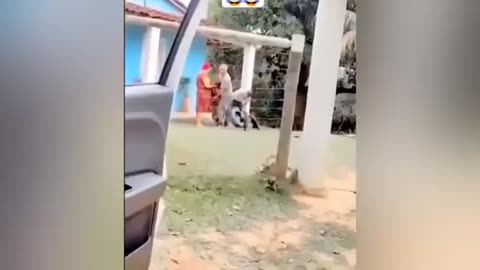 Try not to laugh while watching 🤣😂😂
