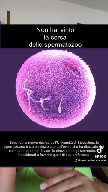 La Vita Biologica si basa sulla MERITOCRAZIA (Mara Yiel Iddau)