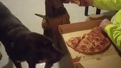 Jake and pizza