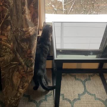 Ummmm. What was that?