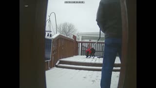 Shasta our Catahoula Cur, dancing in the snow
