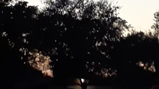 Atardecer en EEUU