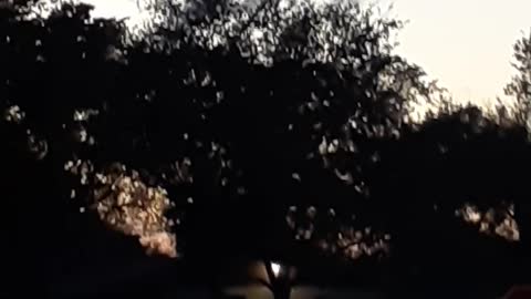 Atardecer en EEUU