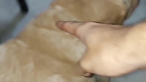 DIG