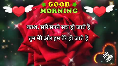 good morning gulab ka phool video flowers