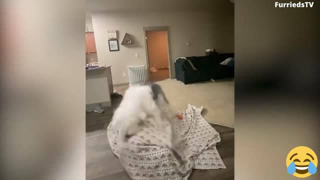 This is How We Play || SO Cute