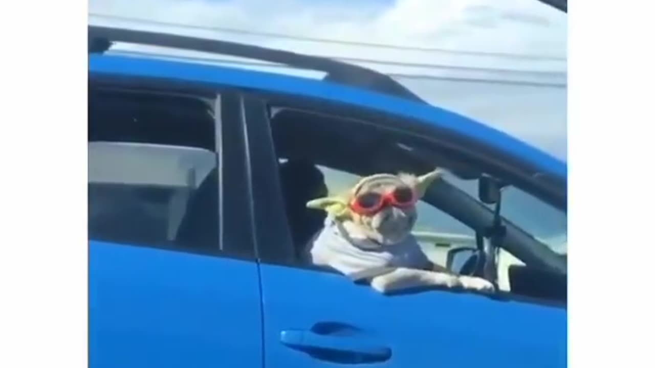 HE JUST CHILLIN