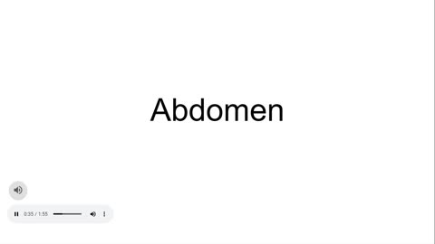 Abdomen