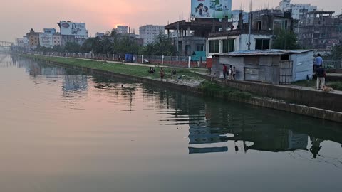 Swimming time at the river tinshofeet