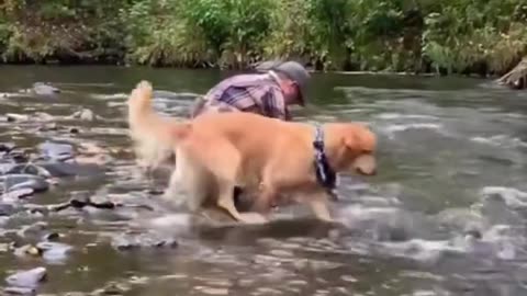 Fishing is dog gone fun