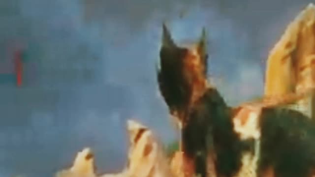 The noise of birds with wolves