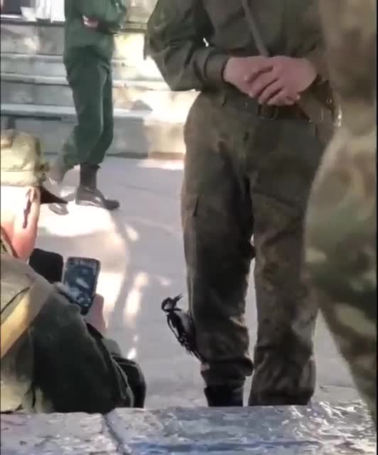 That's what good camouflage means, even birds are confused with trees)