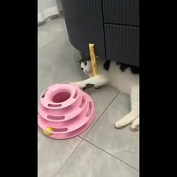 Funny Pet Interactive Toy Triple Play Disc Balls