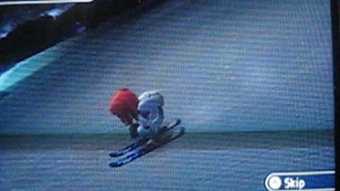 We Ski - Purrrfect Run
