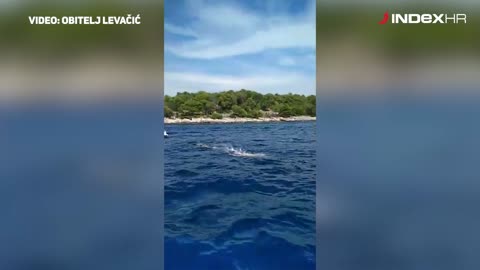 Dina Levačić u Splitskim vratima