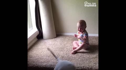 Dogs AND Babies-!