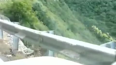 Leopard on the highway