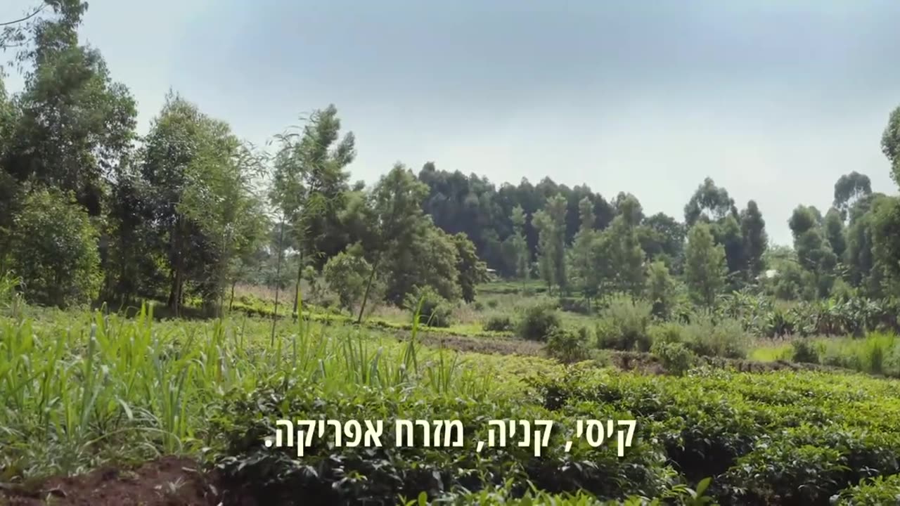 אקלים הסרט - משבר האקלים הוא הפחדה מומצאת והונאת כסף ענקית במימון ממשלת ארהב במטרה להוציא עוד כסף מהציבור (כתוביות בעברית) 14.04.24