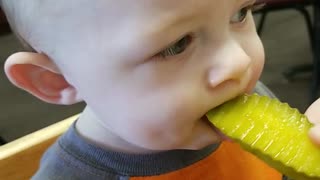 Little boy tries pickle on high chair