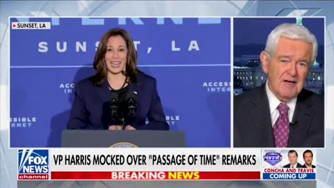 NEWT: We Have to Pray for Biden’s Health, Kamala Harris May Be the ‘Dumbest Person’ Elected as VP