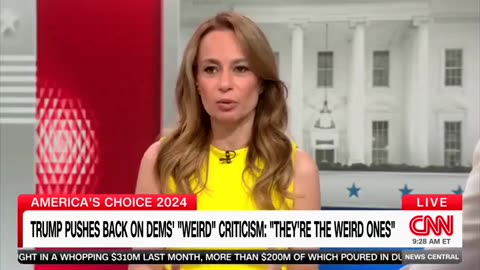 Dem Strategist Tells CNN Host Harris Will Be 'Defining Herself' With Ad Spending