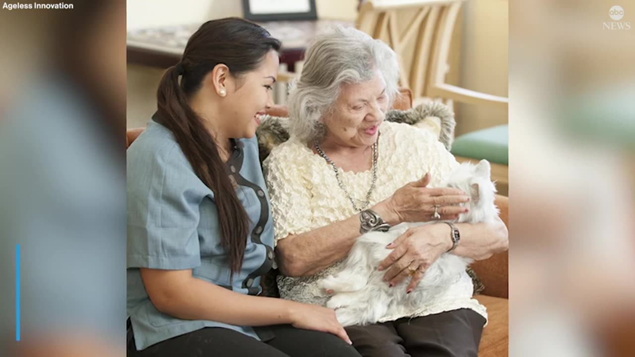 How robot pets are helping seniors face loneliness ABC News