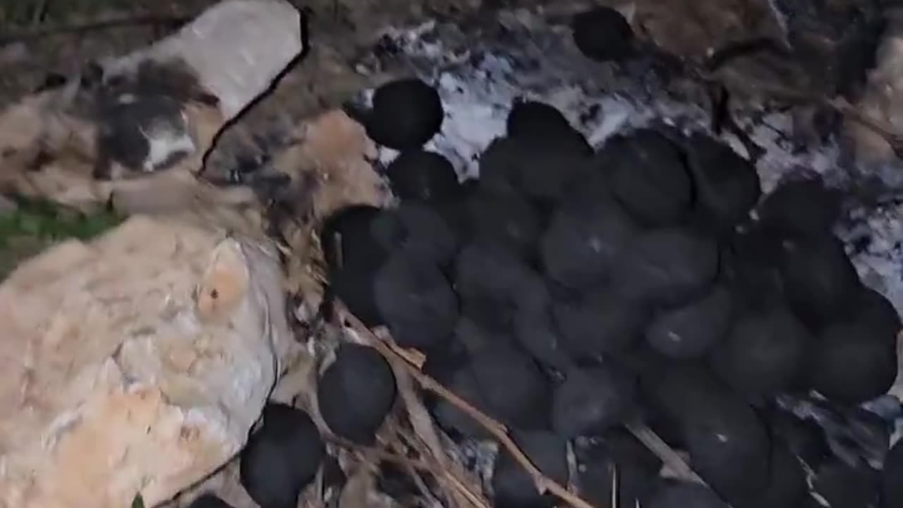 Smokeless Charcoal