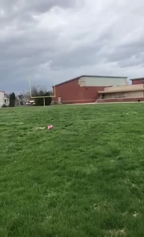 Bunny runs Free at the Park!