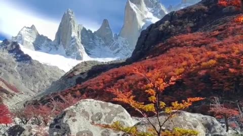 Beauty of Nature