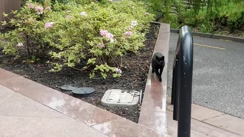 20240424 071134 Tux Hangout Exit