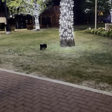 Garden lights at night in Edmonton