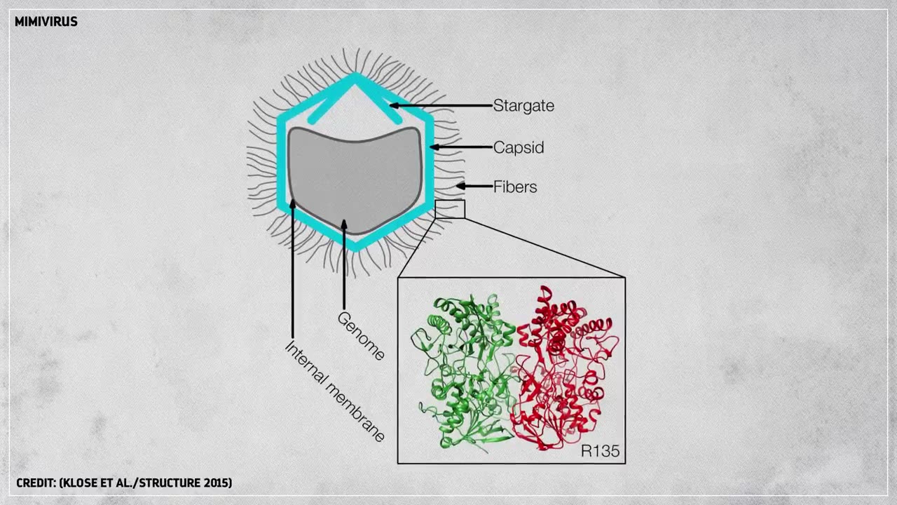 Where did viruses come from? PBS published this video before Covid-19