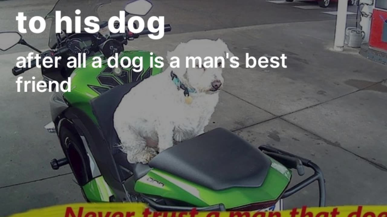 Never trust a man that does not talk to his dog