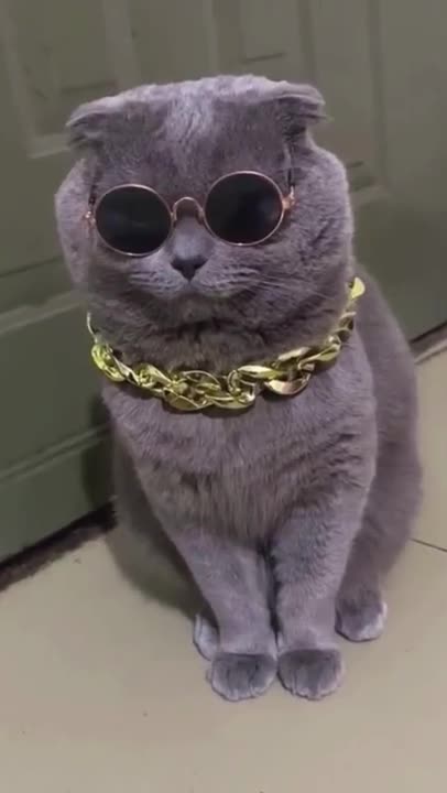 WO0o0o0ow, this was so good, I laughed so hard