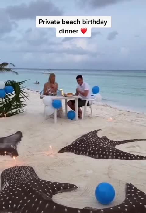 Private Beach Birthday Celebration 🎉🎂