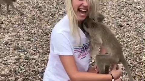Monkey doing funn with cute girl😃😂