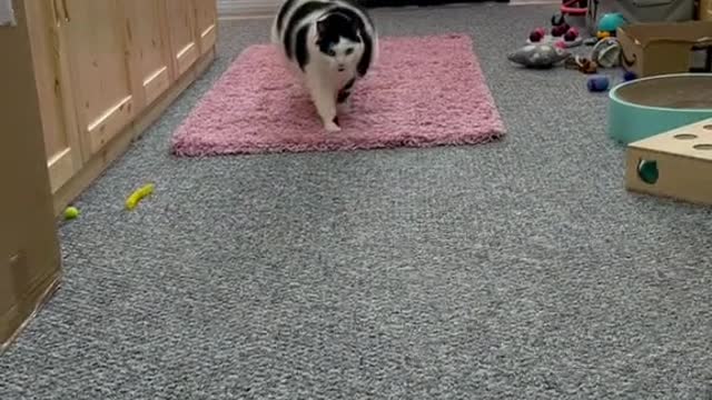 I can hear that sound from mile away!!