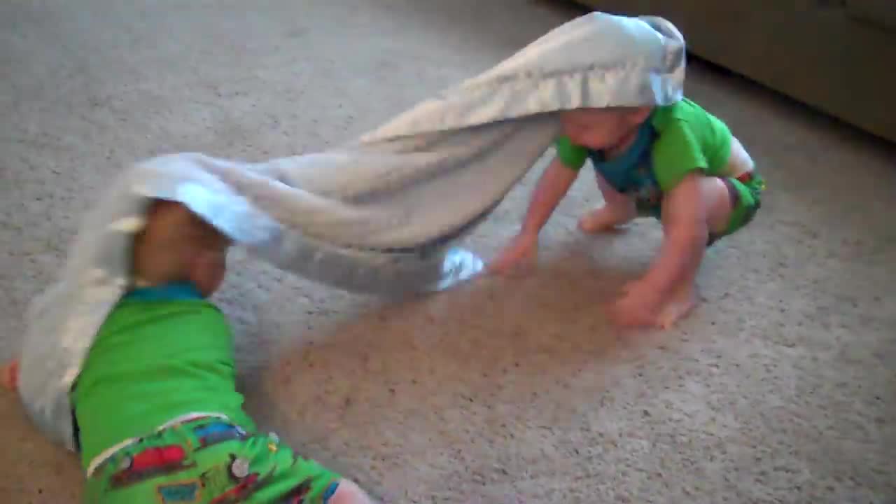 Twin boys playing with their Boston