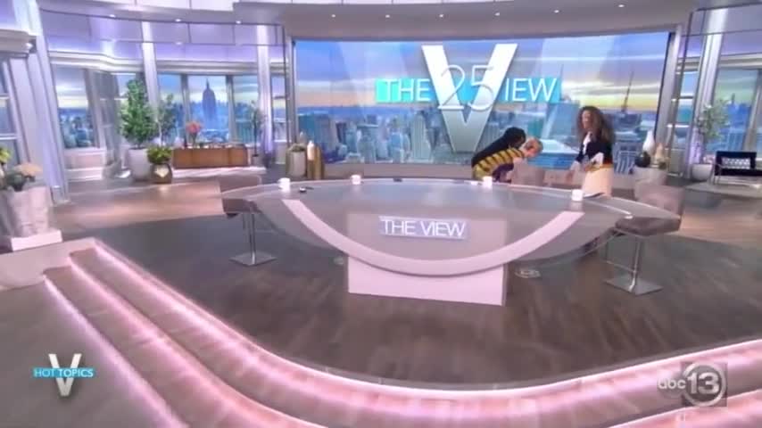 The View's Joy Behar FACE PLANTS Live On TV