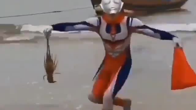 This is a beautiful and charming water-dwelling species