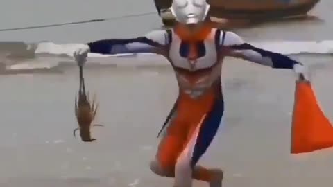 This is a beautiful and charming water-dwelling species