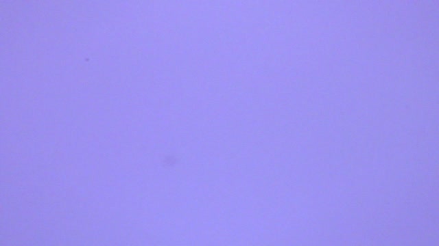 Dreamlight Winter