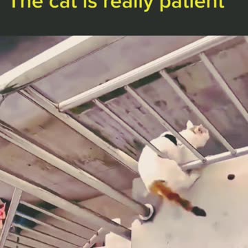 "10 Effective Strategies to Increase Your Productivity and Achieve Success"